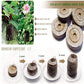 Compressed Nutrient Soil（BUY 3 GET 2 FREE）