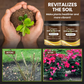 🔥BUY 2 GET 1 FREE🔥Soil Improvement Loosening Agent